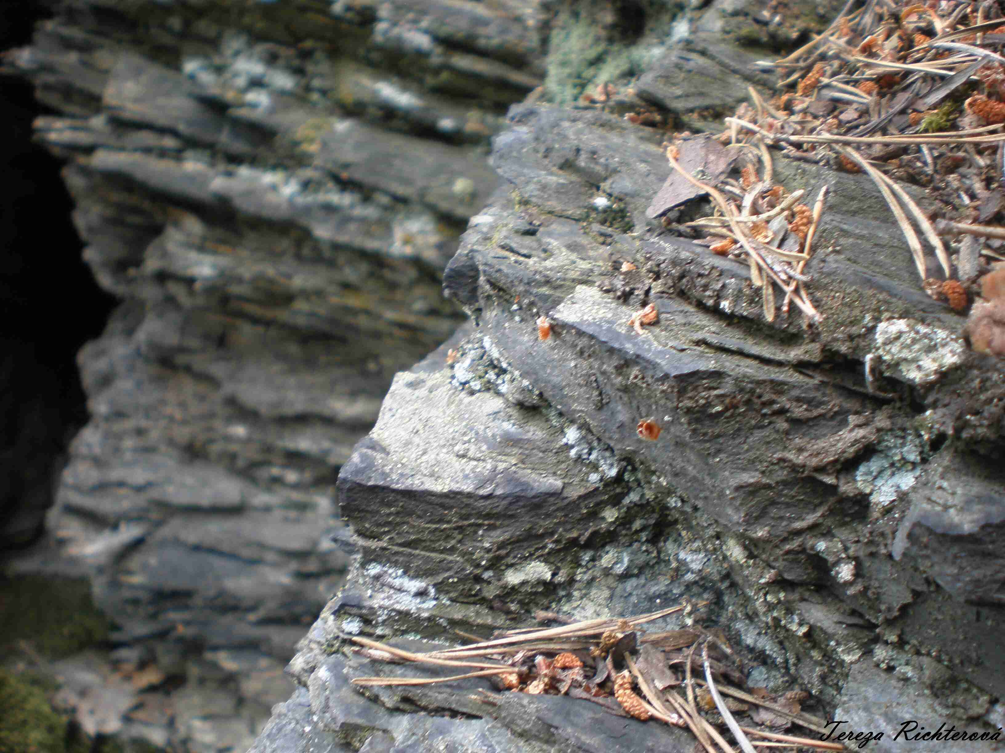 p6200245