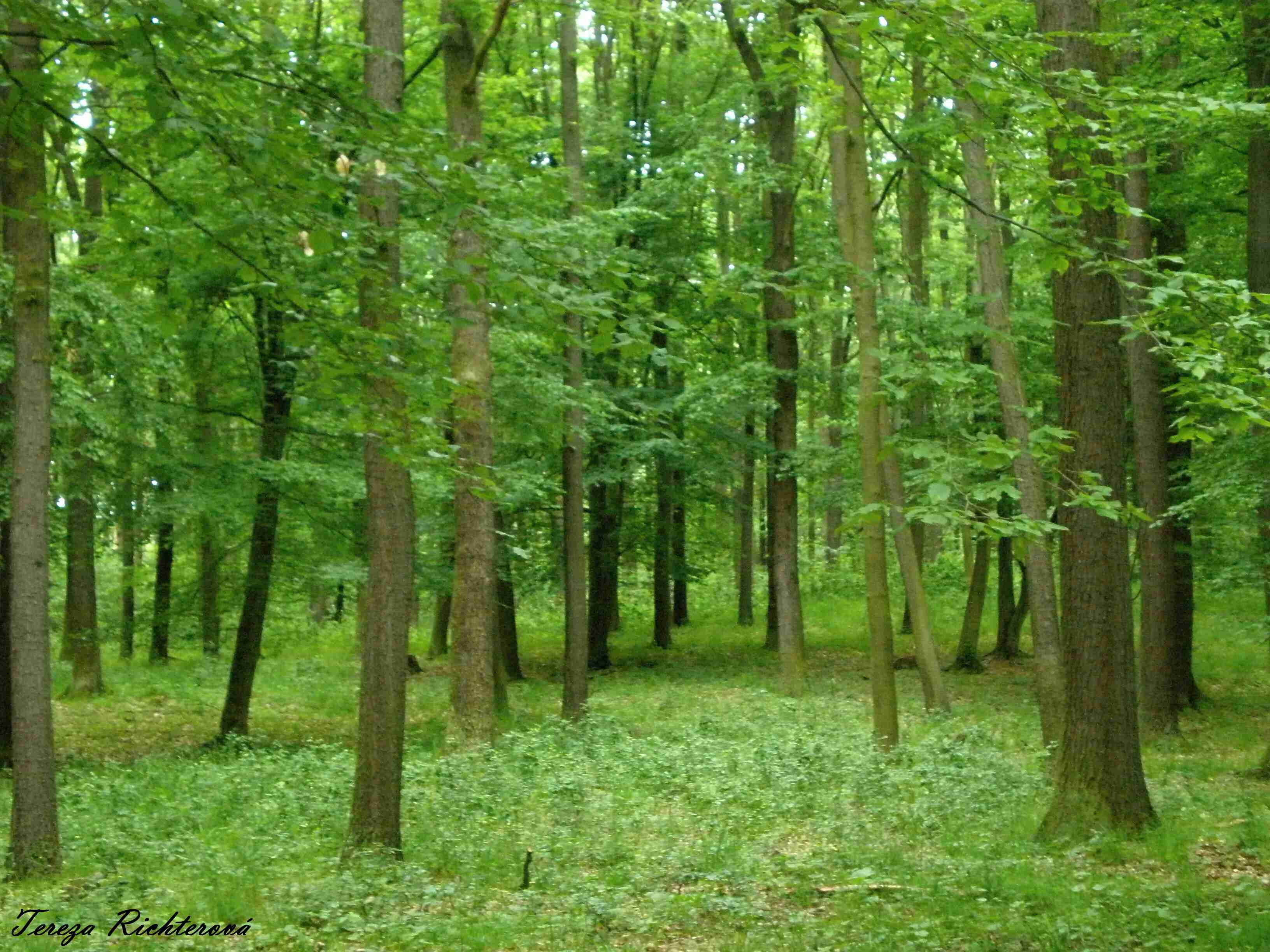 p6200259