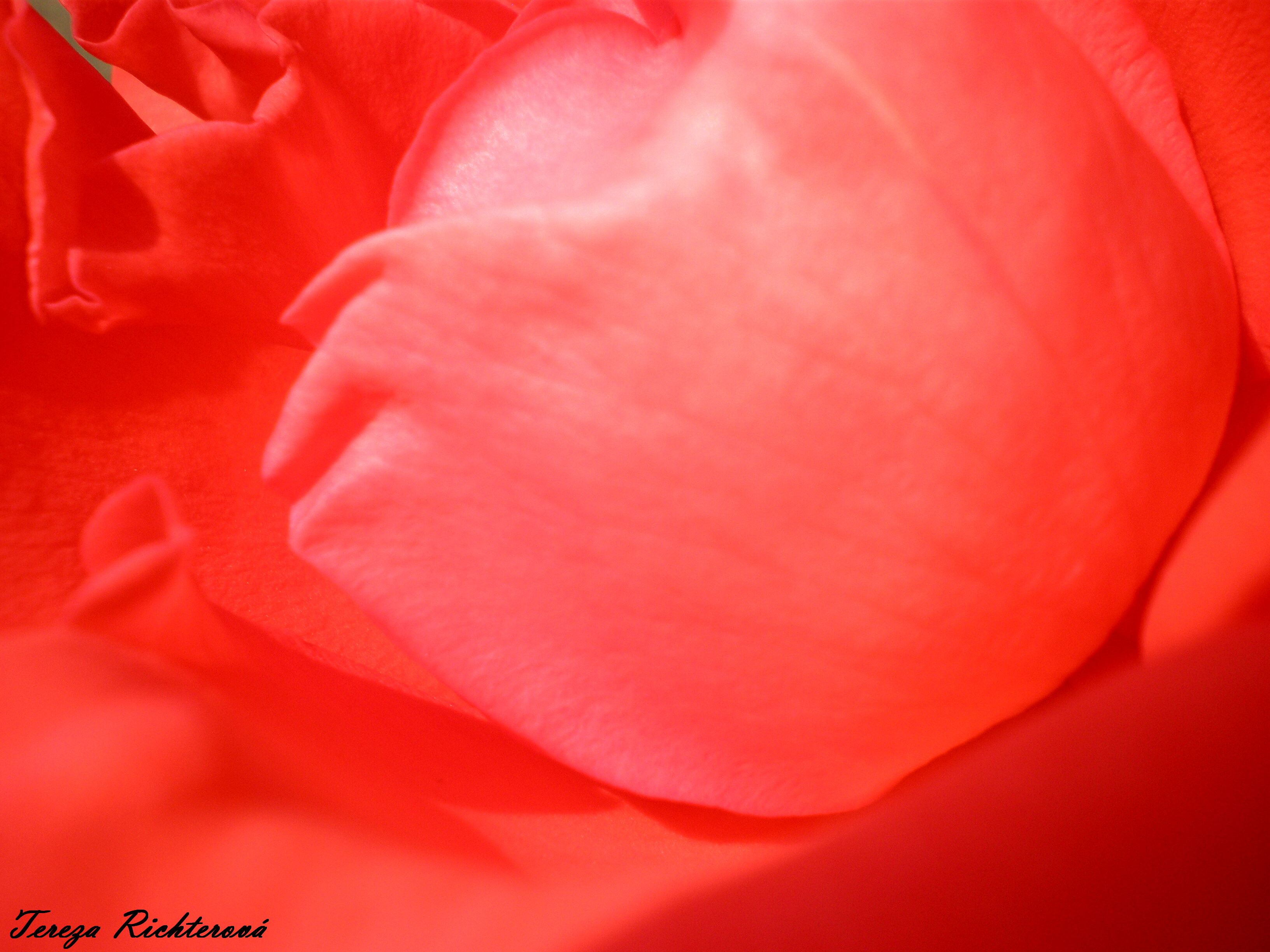 p7040013