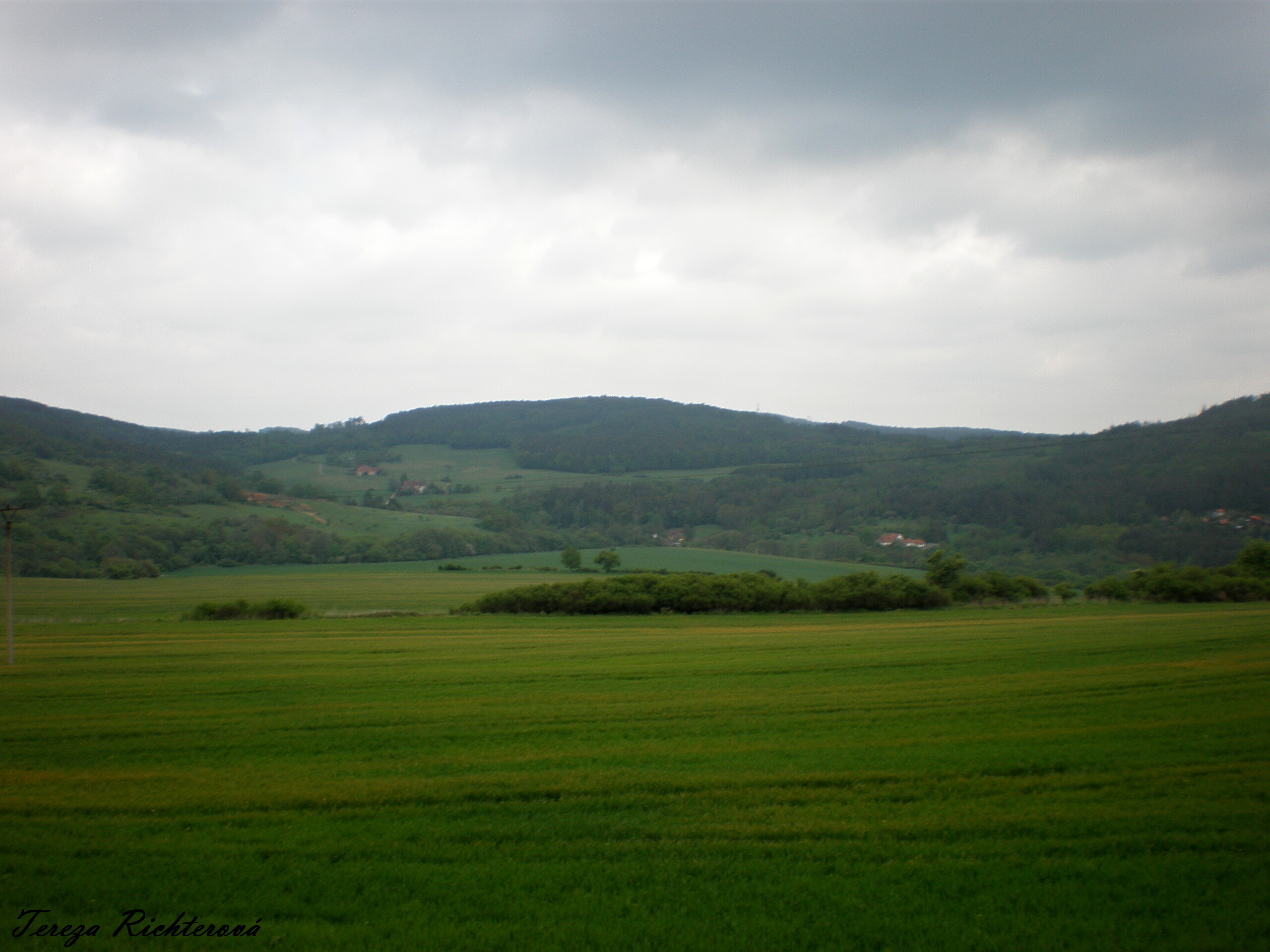 p5210003
